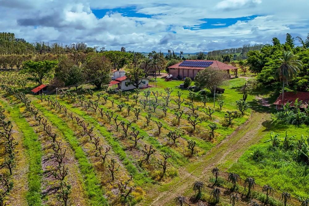 Fazenda - Venda - Analândia , São Paulo - Tratada - Drone-87.jpg - 690691016-305