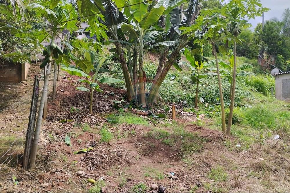 Terreno - Venda - Registro , São Paulo - WhatsApp Image 2026-01-20 at 11.12.38.jpeg - 690061040-37