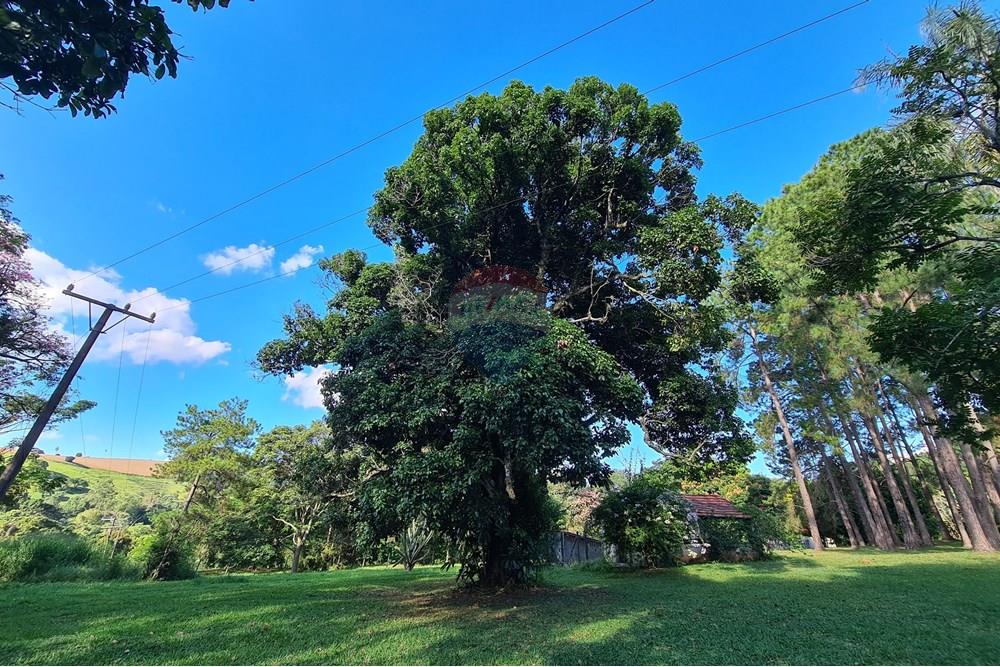 Chácara / Sítio / Fazenda - Venda - Bragança Paulista , São Paulo - 20250321_155922.jpg - 690041041-37