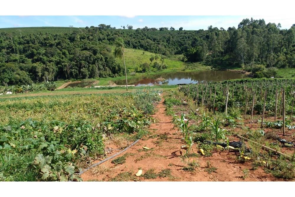 Fazenda - Venda - Campestre , Minas Gerais - 3bfe630a-70e2-4ce8-868a-c8055f4e9baf.jpg - 690291077-293