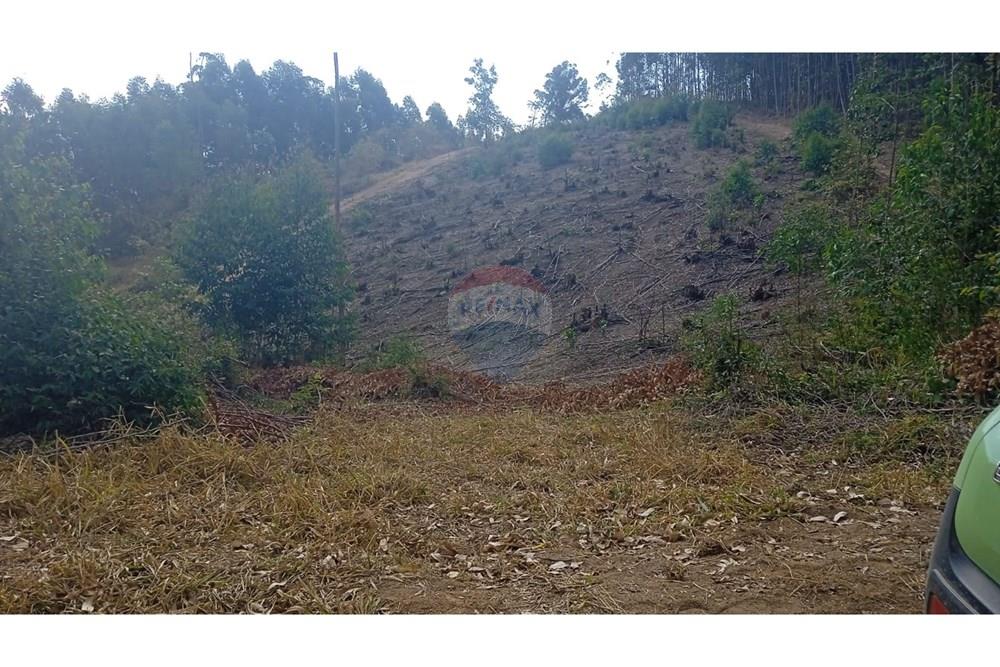 Terreno - Venda - Socorro , São Paulo - terreno lucas0.jpg - 690041008-23