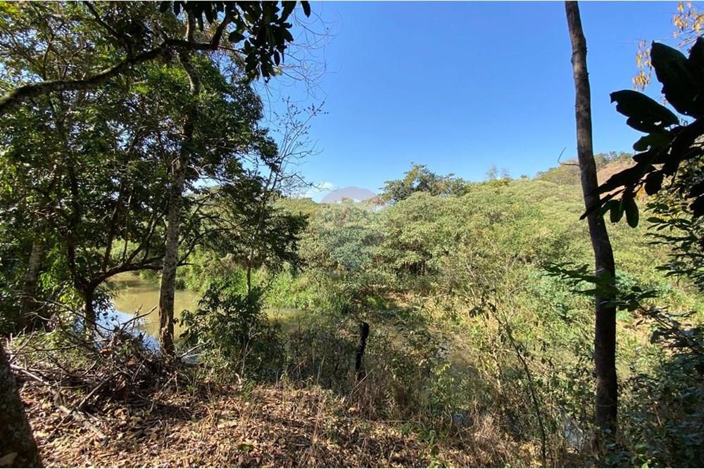 Chácara / Sítio / Fazenda - Venda - Jacutinga , Minas Gerais - WhatsApp Image 2025-08-06 at 14.30.44.jpeg - 690291077-290