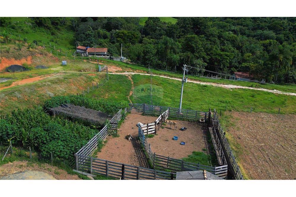 Chácara / Sítio / Fazenda - Venda - Lindóia , São Paulo - 39 - 690291077-296