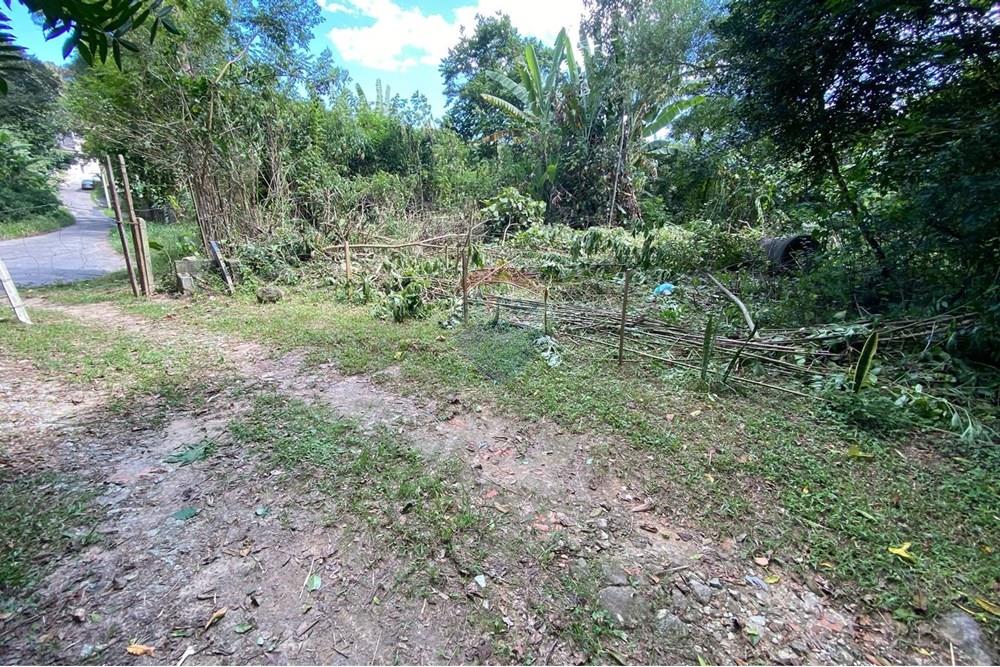 Chácara / Sítio / Fazenda - Venda - Mairiporã , São Paulo - 00248034-3edb-47a3-8d70-6cac6e6f6755.jpeg - 690041107-26