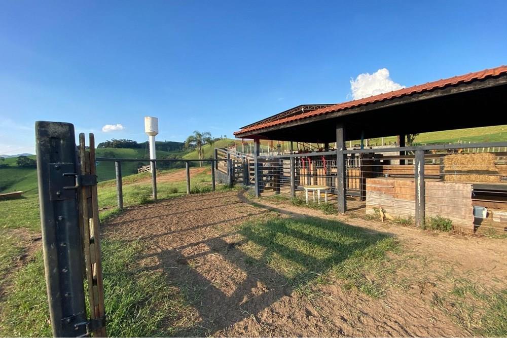 Chácara / Sítio / Fazenda - Venda - Socorro , São Paulo - WhatsApp Image 2026-03-04 at 13.32.25 (2).jpeg - 690041167-12