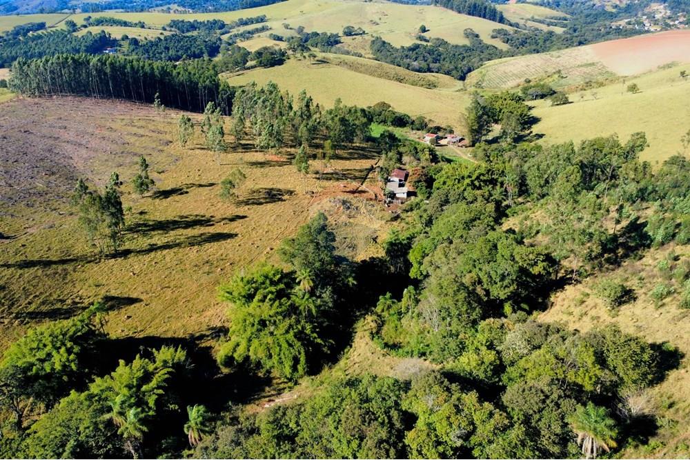 Chácara / Sítio / Fazenda - Venda - Socorro , São Paulo - dji_fly_20250617_095118_217_1750164705442_photo_optimized.jpg - 690291056-39