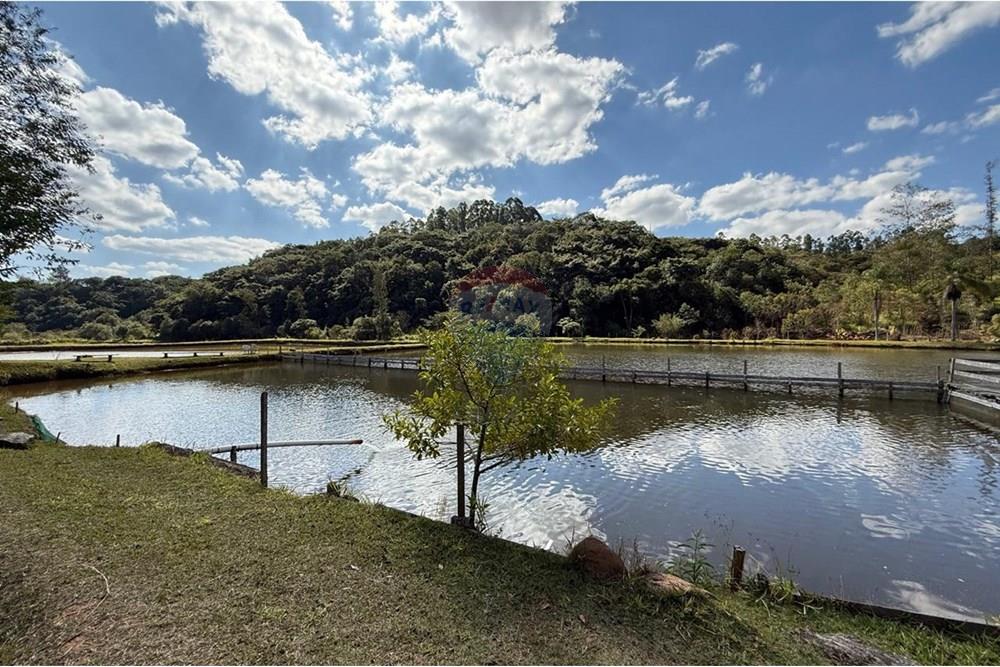 Chácara / Sítio / Fazenda - Venda - Ouro Fino , Minas Gerais - 817370fd-00df-4d10-bc27-d3337f69c051.jpg - Jardim Externo - 690521014-121