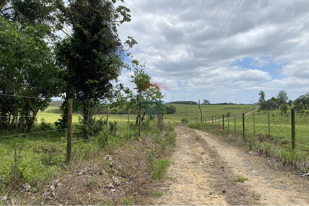 Fazenda - Venda - Iguape , São Paulo - IMG_5965.jpg - 690061038-14