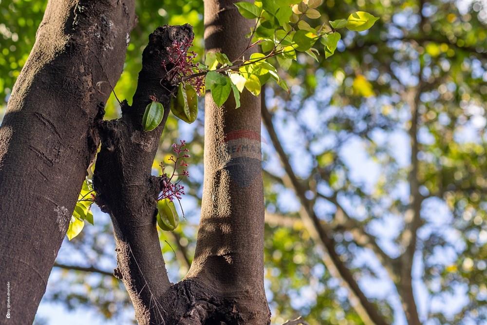 Chácara / Sítio / Fazenda - Venda - Valinhos , São Paulo - TKD-17938.jpg - 690941036-31