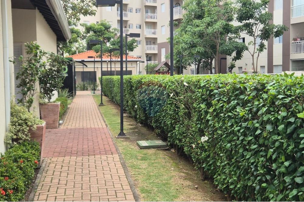 Apartamento - Alugar - Valinhos , São Paulo - a58439d1-0715-4188-b09c-b24092569b2e.jpg - 690851008-567