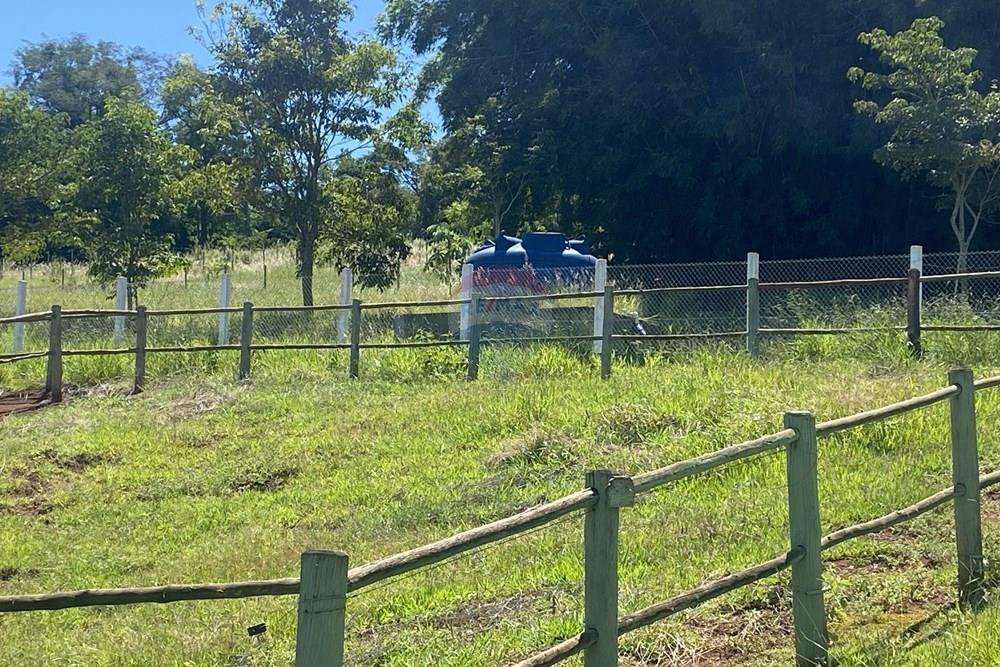 Fazenda - Venda - Piraju , São Paulo - IMG_7345.jpg - 690061038-29