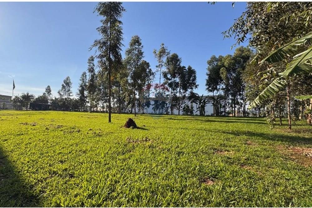 Industrial - Venda - Rafard , São Paulo - Imagem do WhatsApp de 2024-11-26 à(s) 08.51.47_037d72d7.jpg - 690091006-600