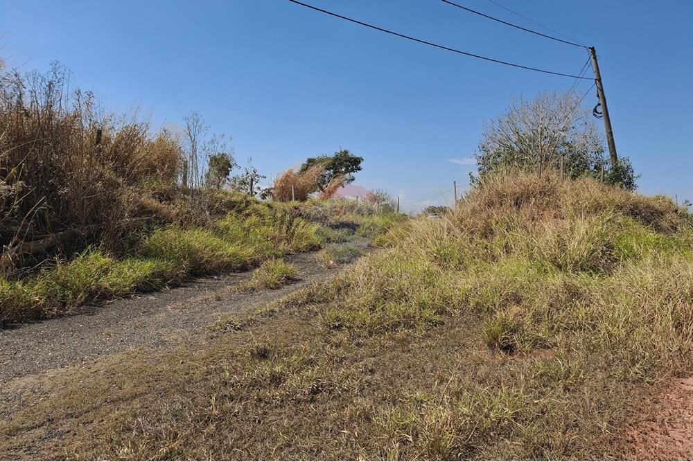 Terreno - Venda - Mogi Mirim , São Paulo - 20250808_120309.jpg - 690681090-43