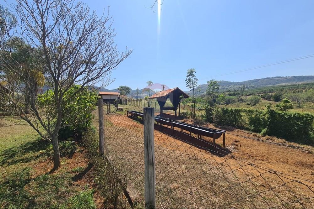 Chácara / Sítio / Fazenda - Venda - Santa Maria da Serra , São Paulo - 627d080f-7511-4aa8-9498-cd38a349d518.jpg - 690571076-32