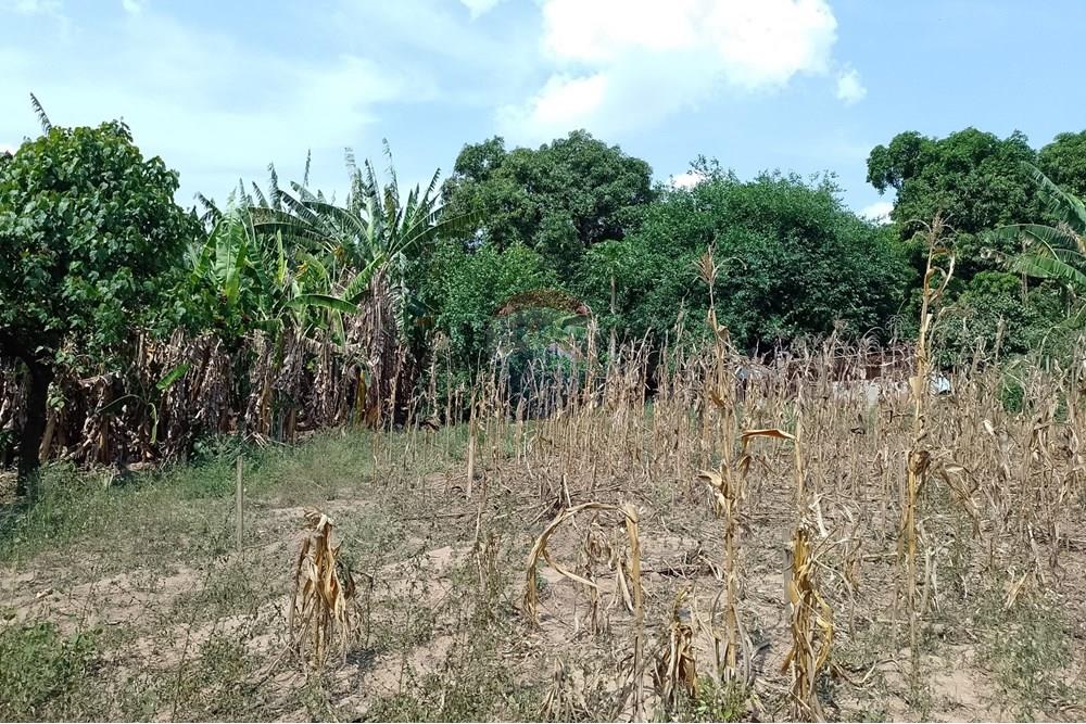 Terreno - Venda - Cosmópolis , São Paulo - fachada (5).jpg - Jardim Interno - 690511357-364
