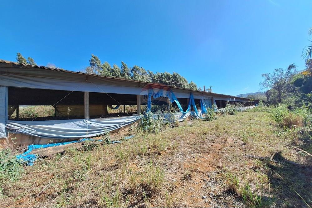 Chácara / Sítio / Fazenda - Venda - Itapira , São Paulo - 20250626_104306.jpg - 690751048-290