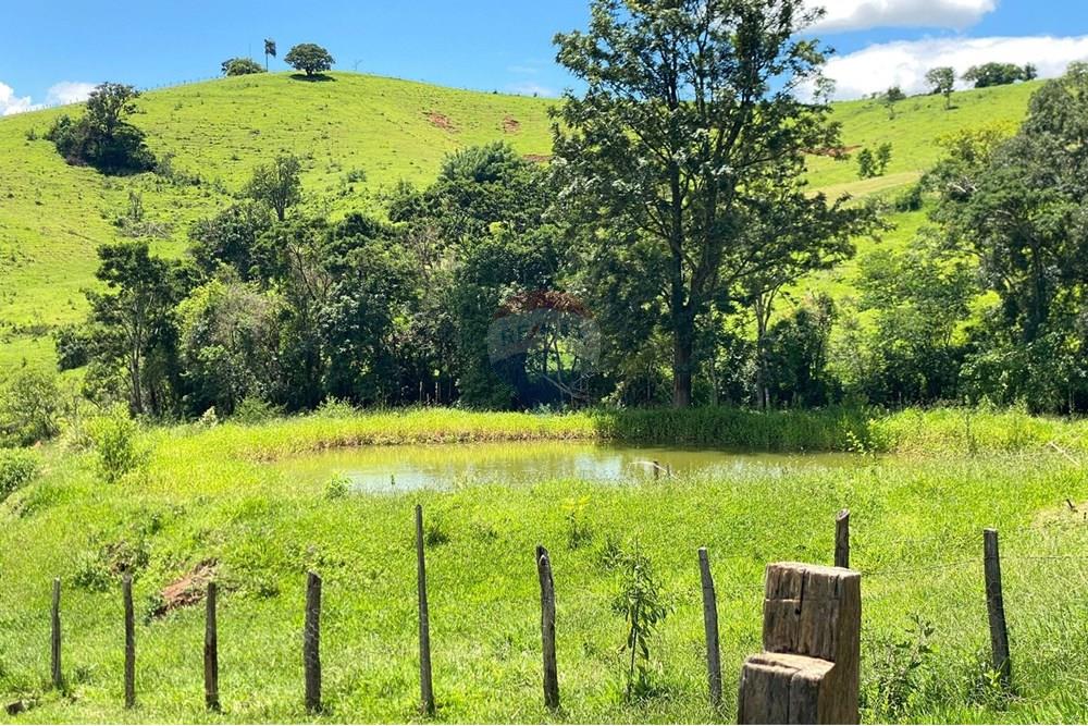 Chácara / Sítio / Fazenda - Venda - Lindóia , São Paulo - Imagem do WhatsApp de 2025-02-25 à(s) 19.33.52_04369310.jpg - 690291077-296