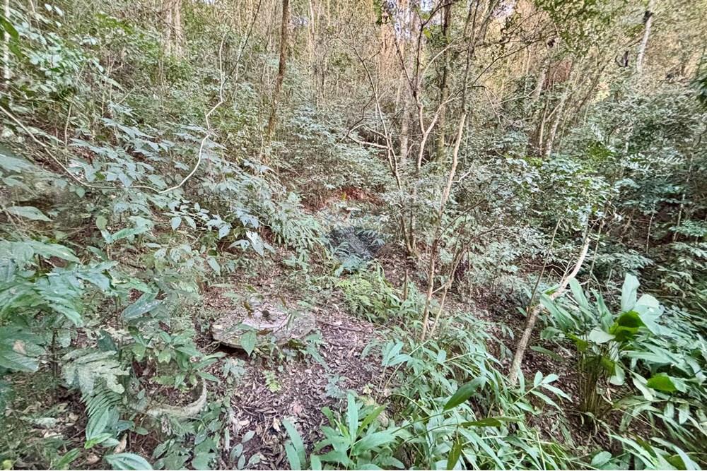 Chácara / Sítio / Fazenda - Venda - Atibaia , São Paulo - IMG_7913.jpg - 690661027-125