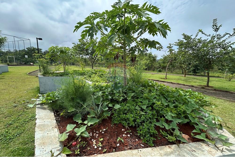 Apartamento - Venda - Piracicaba , São Paulo - IMG_3501.JPG - 690781020-240