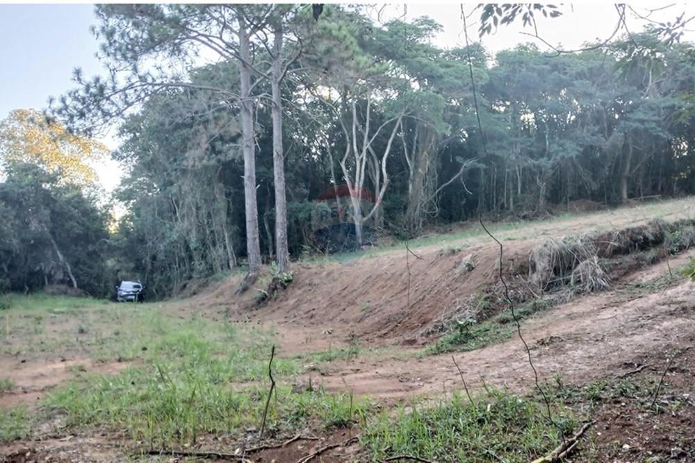 Terreno - Venda - Bragança Paulista , São Paulo - 20250530_164346.jpg - 690141085-18