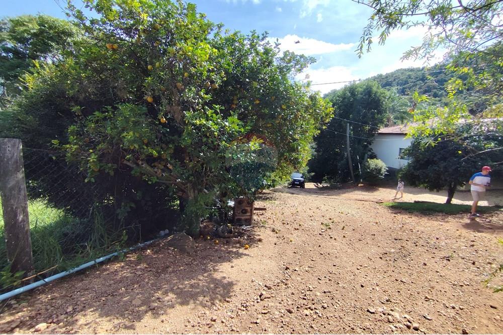 Chácara / Sítio / Fazenda - Venda - Itapira , São Paulo - 1751510168557.jpg - 690291085-364