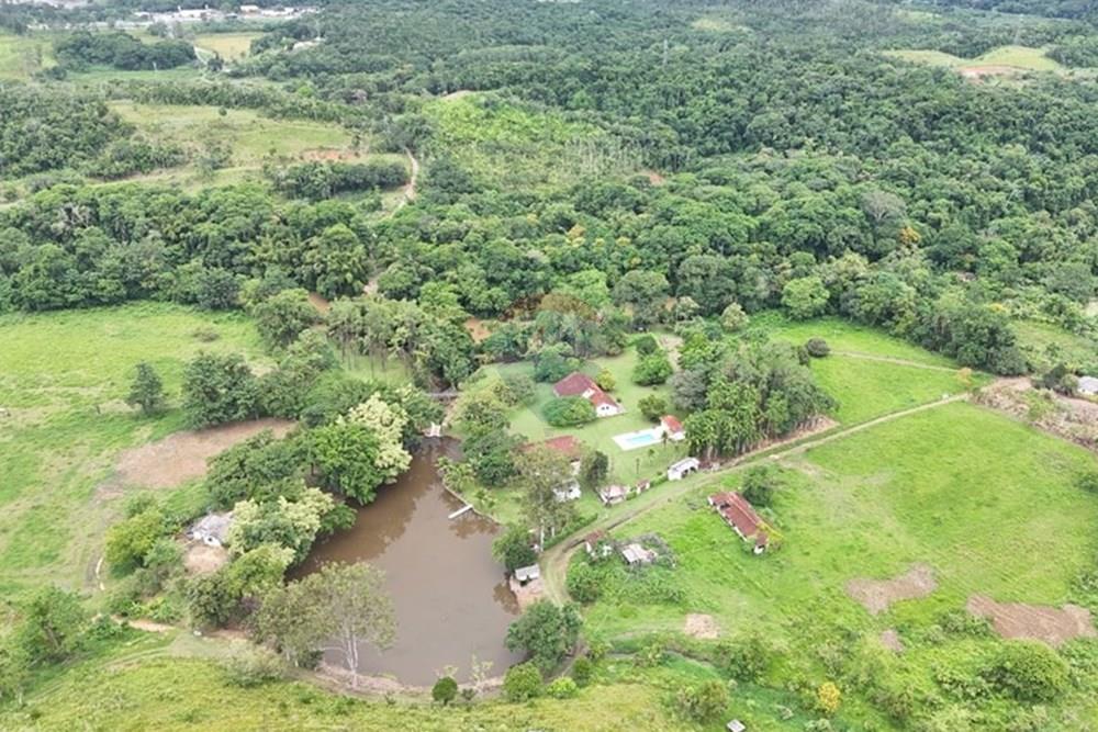 Fazenda - Venda - Miracatu , São Paulo - WhatsApp Image 2025-04-10 at 14.01.42.jpeg - 690061038-2