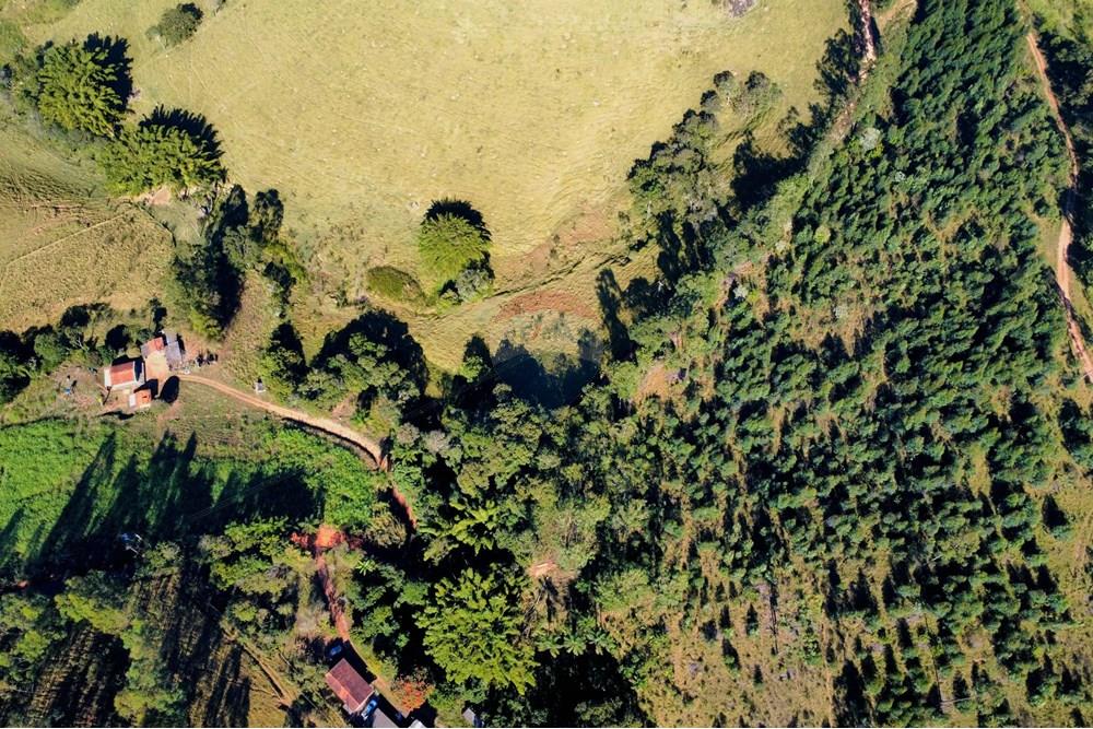 Chácara / Sítio / Fazenda - Venda - Socorro , São Paulo - dji_fly_20250617_095532_230_1750165102258_photo_optimized.jpg - 690291056-39