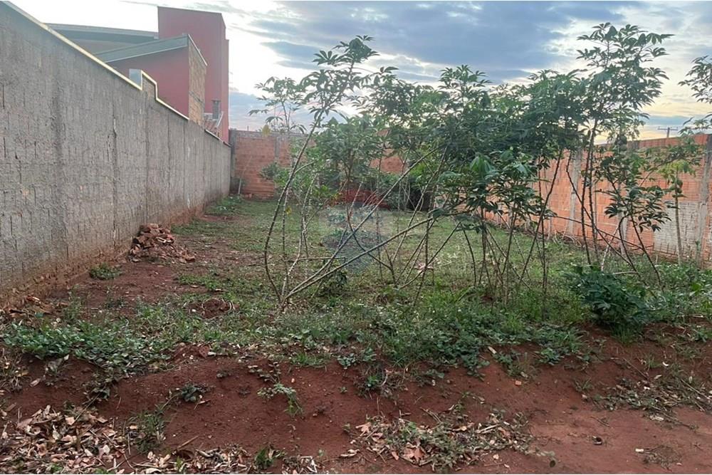 Terreno - Venda - Araraquara , São Paulo - WhatsApp Image 2025-11-04 at 15.44.23 (2).jpeg - 690151080-9