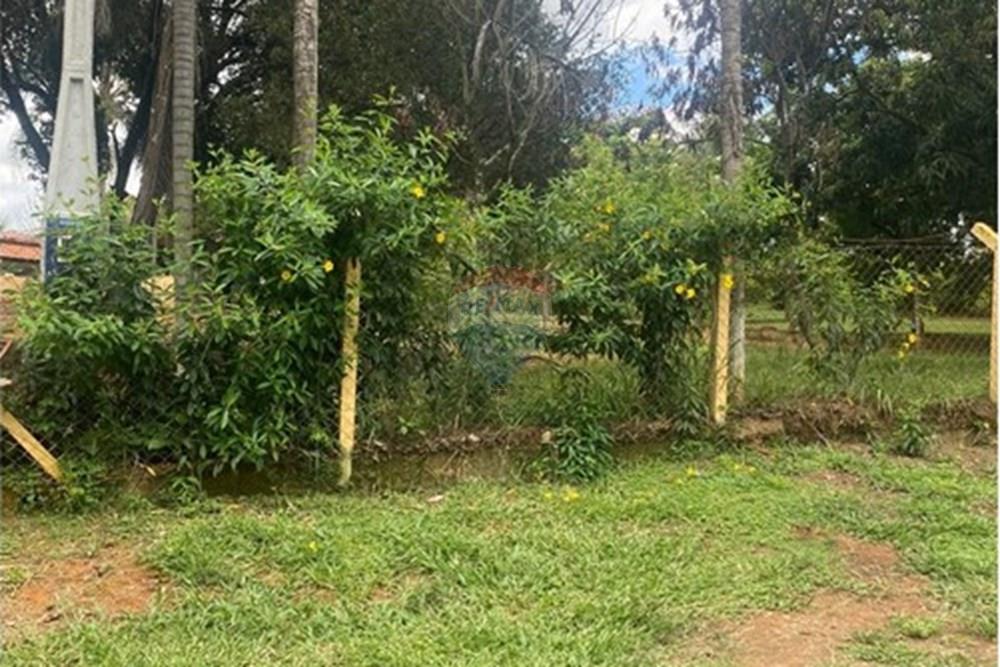 Chácara / Sítio / Fazenda - Alugar - Cosmópolis , São Paulo - 05.jpeg - 690511358-117