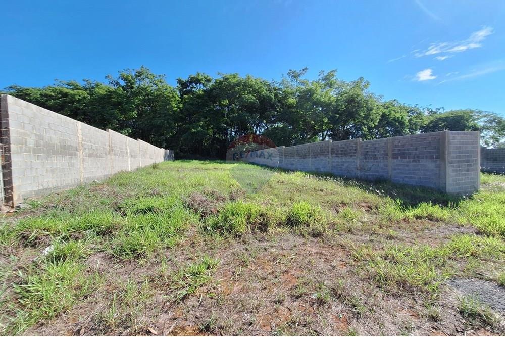 Terreno - Venda - Mogi Mirim , São Paulo - IMG-20241209-WA0034.jpg - 690751048-328
