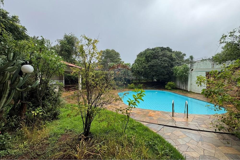 Casa Comercial - Alugar - Campinas , São Paulo - IMG_7021.JPEG - 691181013-20