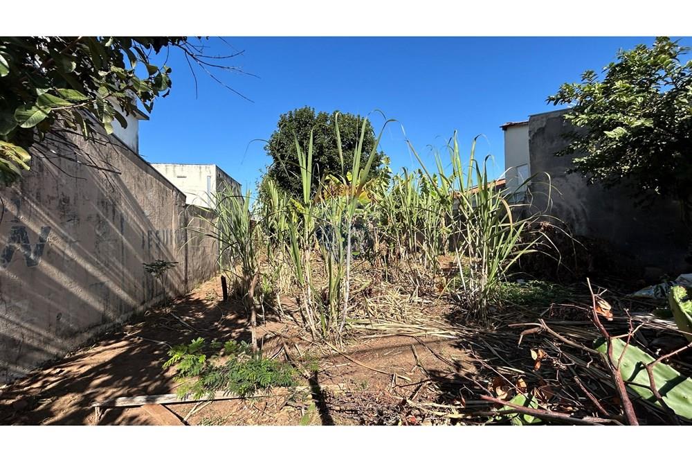 Residential - Κτήμα - Nova Odessa , Σάο Πάολο - BR - IMG_9663.jpg - 690641010-556