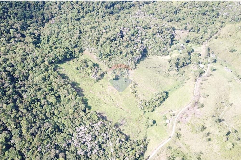 Fazenda - Venda - Jacupiranga , São Paulo - DJI_0082.JPG - 690061038-17