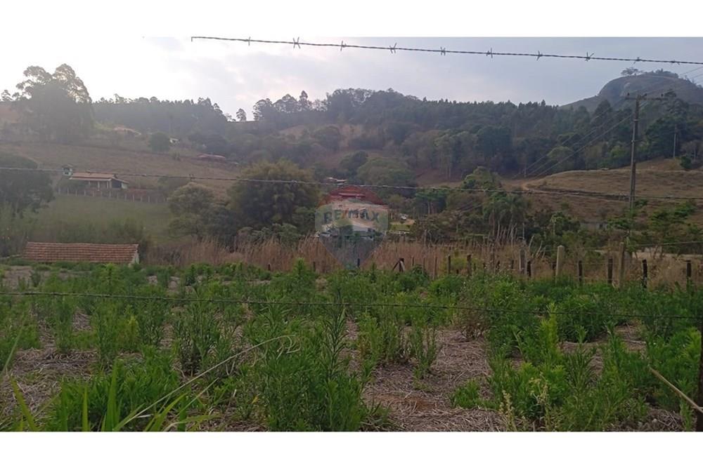 Terreno - Venda - Pedra Bela , São Paulo - terreno tia1.jpeg - 690041008-25