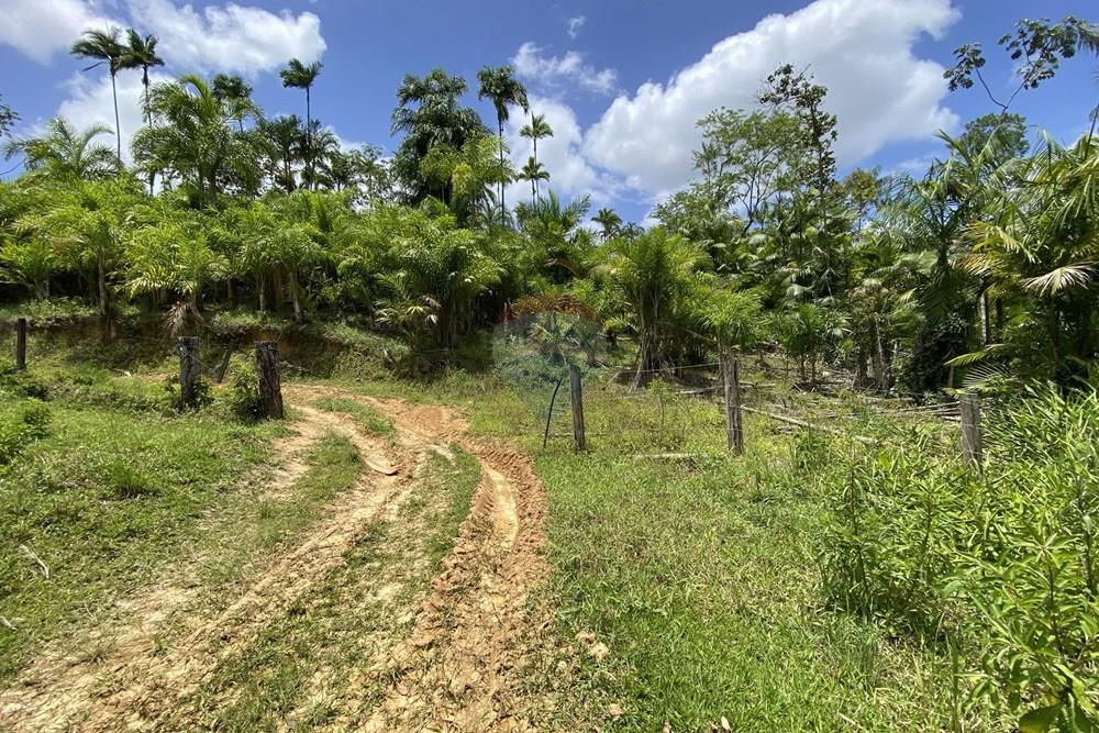 Fazenda - Venda - Pariquera-Açu , São Paulo - IMG_6132.jpg - 690061038-24