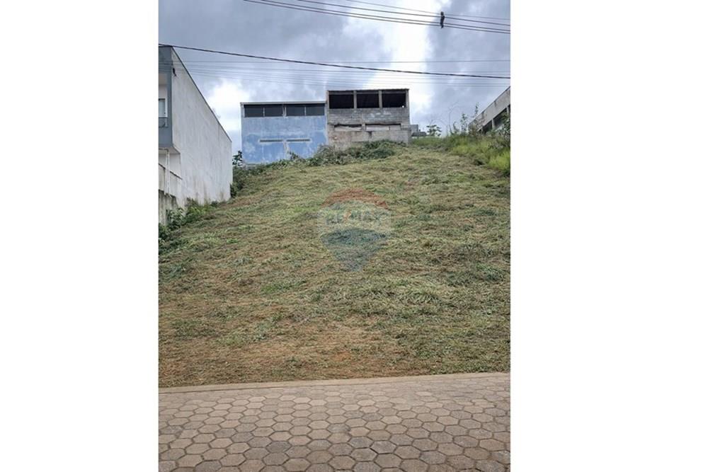 Terreno - Venda - Itapeva , Minas Gerais - ter01.jpg - 690141109-6