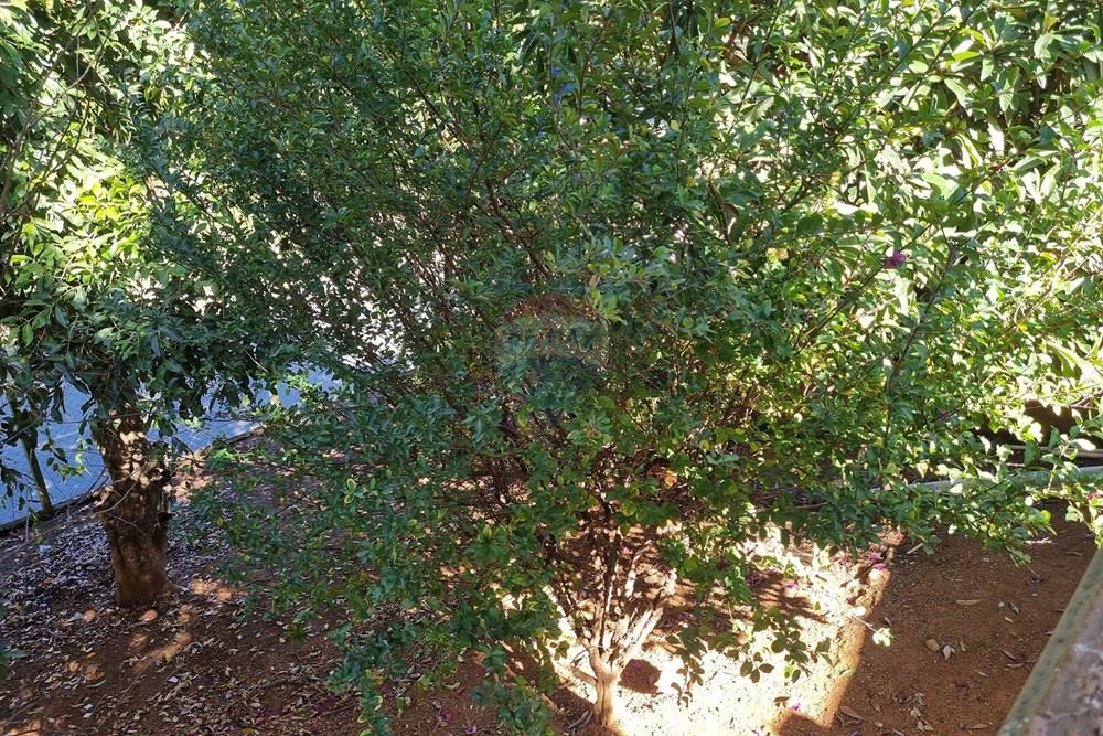 Casa - Alugar - Vinhedo , São Paulo - 20250730_103042.jpg - 690541189-140