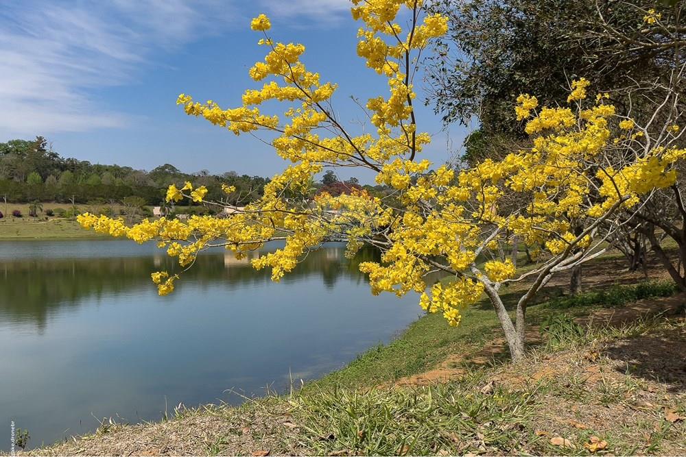 Terreno - Venda - Itatiba , São Paulo - TKD-7255.jpg - 690661020-159