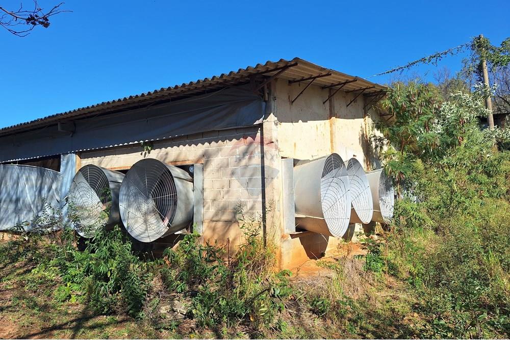 Chácara / Sítio / Fazenda - Venda - Itapira , São Paulo - 20250626_094704.jpg - 690751048-290