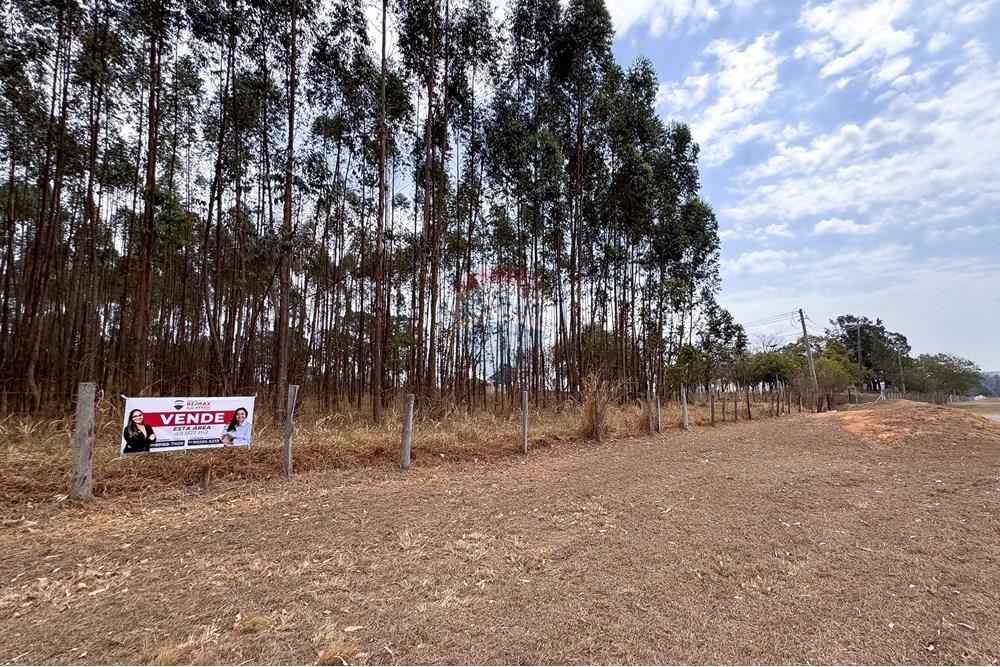 Terreno - Venda - Capivari , São Paulo - IMG_8734.jpg - 690091006-562