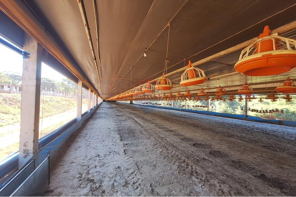 Chácara / Sítio / Fazenda - Venda - Conchal , São Paulo - 20250617_140135(1).jpg - 690751019-291