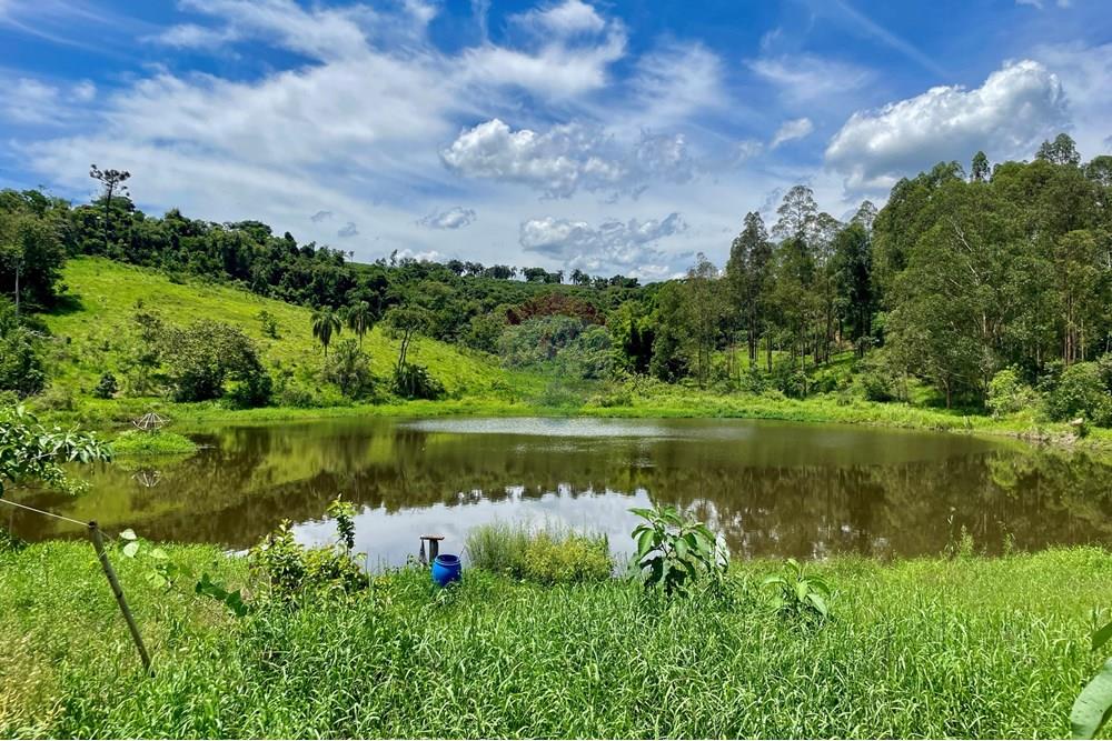 Fazenda - Venda - Campestre , Minas Gerais - IMG_6222.JPG - 690291077-293