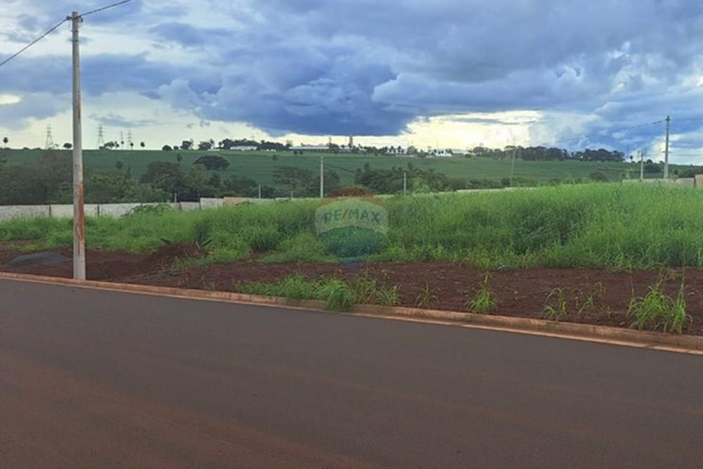 Terreno - Venda - Araraquara , São Paulo - WhatsApp Image 2026-02-16 at 15.51.29.jpeg - 690151103-8