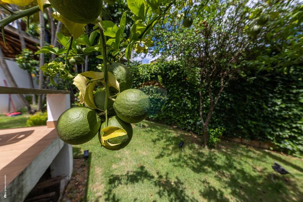 Casa de Condomínio - Venda - Valinhos , São Paulo - TKD-12158.jpg - 690491081-9