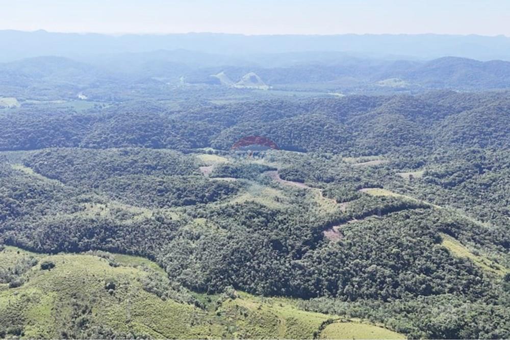 Fazenda - Venda - Miracatu , São Paulo - WhatsApp Image 2025-05-20 at 13.34.41.jpeg - 690061038-9