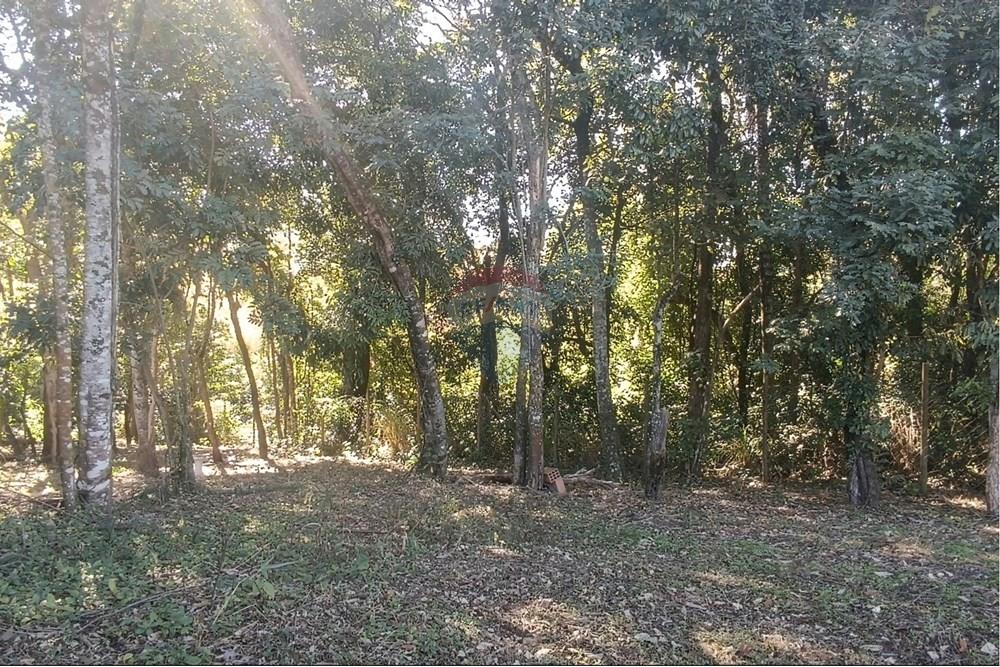 Terreno - Venda - Jaguariúna , São Paulo - 18.JPG - Quintal - 690671070-9