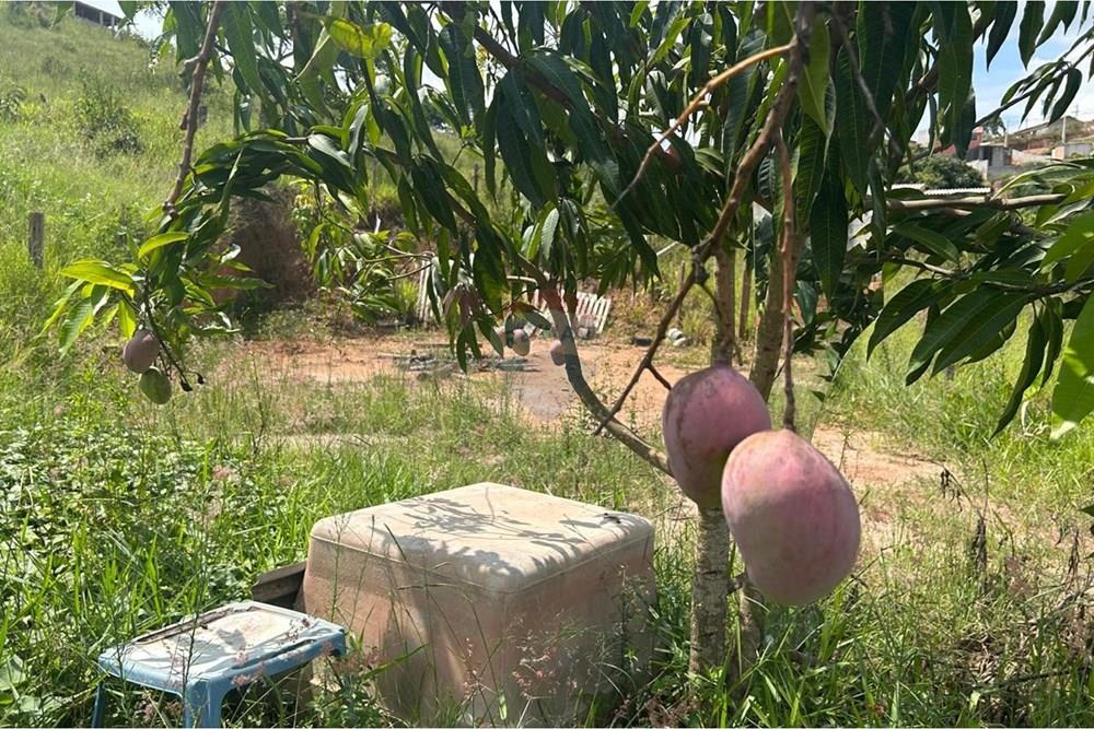 Terreno - Venda - Jarinu , São Paulo - WhatsApp Image 2026-01-30 at 00.44.20 (5).jpeg - 690661027-124