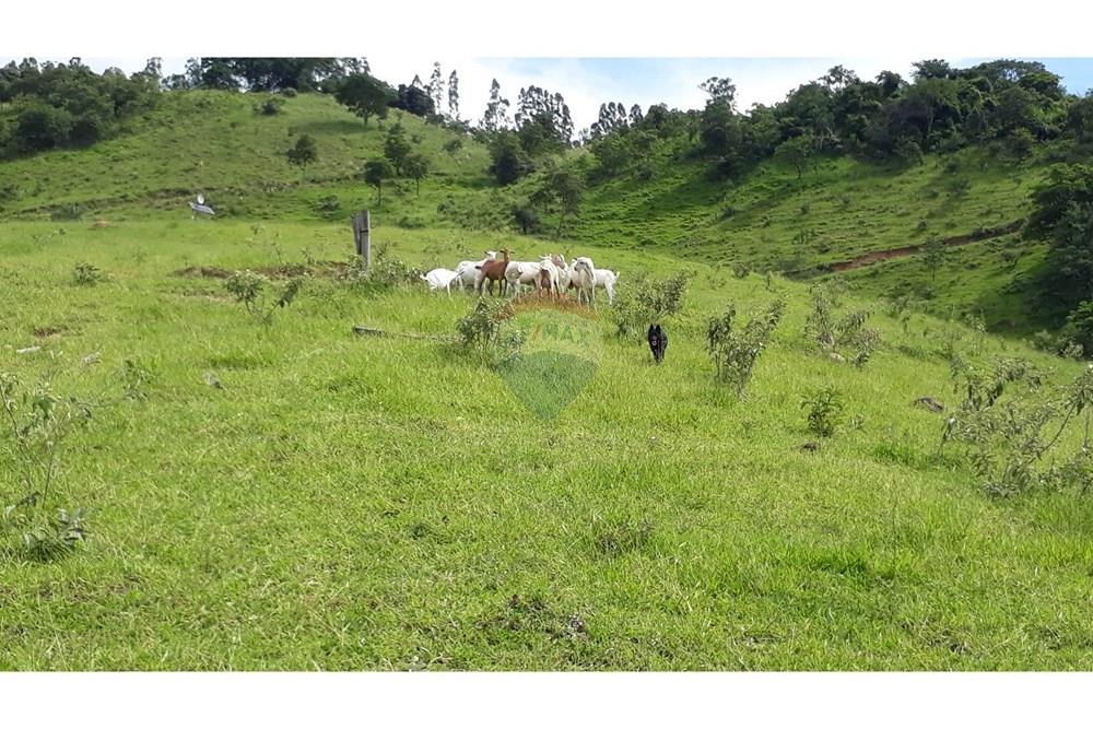 Fazenda - Venda - Serra Negra , São Paulo - 20250211_151342.jpg - 690291056-26