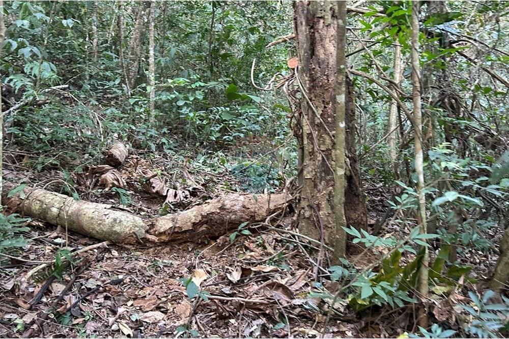 Chácara / Sítio / Fazenda - Venda - Atibaia , São Paulo - WhatsApp Image 2025-07-18 at 14.42.56 (9).jpeg - 690661027-125