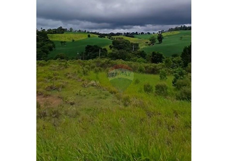 Chácara / Sítio / Fazenda - Venda - Pinhalzinho , São Paulo - Screenshot_20260128_163311_Photos.jpg - 690141085-40